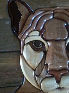 31189936_130785087777194_4750254866125815808_n